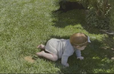 Lilibet learns to crawl