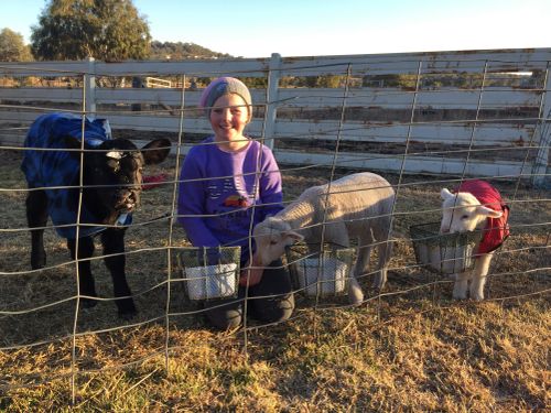 Inverell resident Amanda Anderson’s children Sophie, nine and Lachlan, 14, are also lending a hand. 