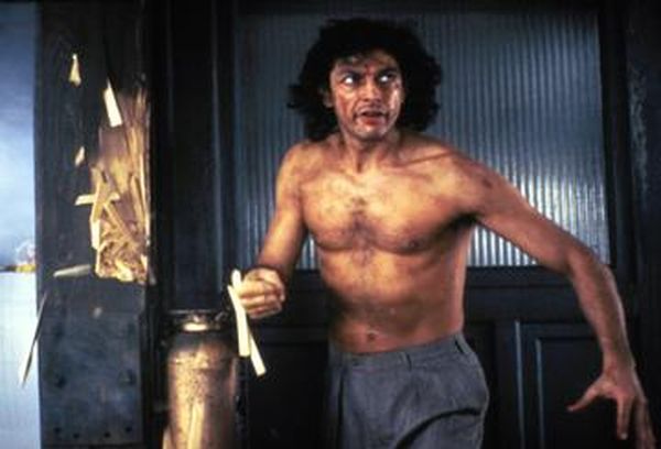 The Fly