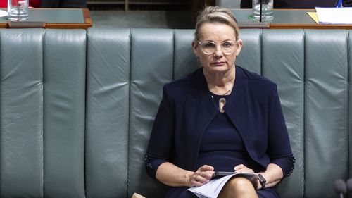 Deputy Liberal Leader Sussan Ley during Question Time on Thursday 3 August 2023.
