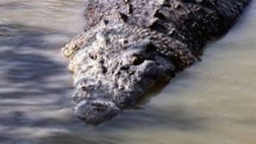 Crocodile warning Queensland floods