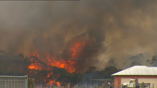 Newcastle Airport has closed because of the fire. (9NEWS)