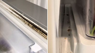 Mouldy fridge seals and crumbs on fridge shelves can cause bad odours.