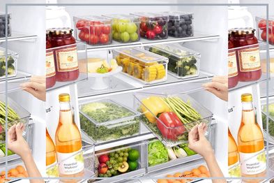 9PR: BY Kitchen and Home Fridge Food Storage Containers