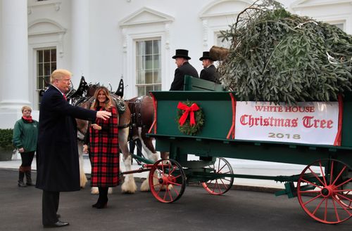 US President Donald Trump and First Lady Melania Trump receive the White House Christmas Tree.