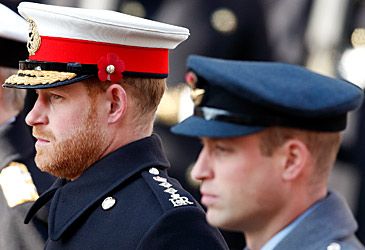 What surname did Harry and William use for military purposes?