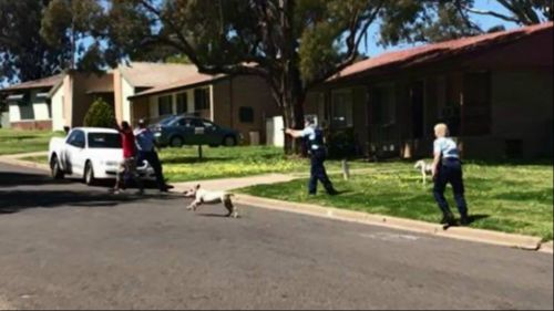 Man shot by police during confrontation in central New South Wales