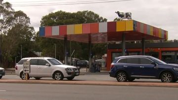 Police are probing how a heavy cow statue ended up on a servo roof in Perth.The animal ﻿was stolen from primary school students and somehow ended up in the unusual spot in the city&#x27;s south east,