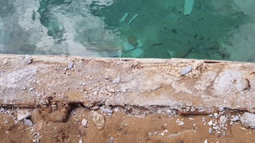 The work left debris in Ms Sanshall's pool. (Supplied)