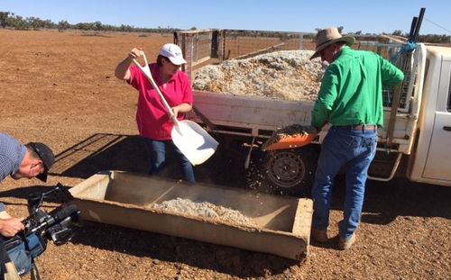 Evan and Belinda Palmer have been struggling through the droughts in Queensland. 