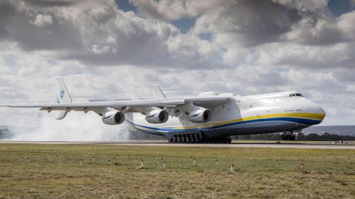 The Antonov An-225 Mriya is the world's longest plane at 84m.