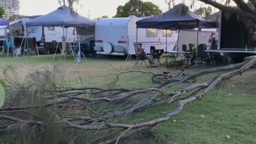 Eight people have been injured by a fallen tree branch after it crushed their family picnic in Queensland.