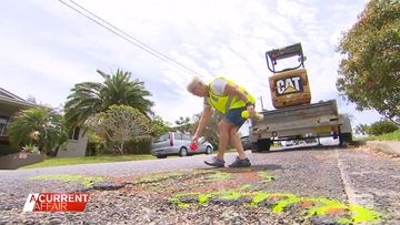 Fed-up grandma's unique solution for potholes