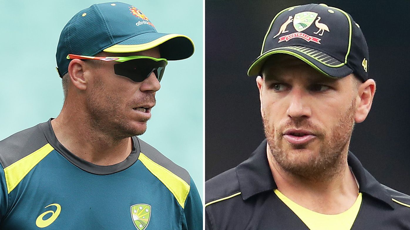 'Last roll of the dice': Aussie openers Aaron Finch, David Warner hit with stinging warning on verge of World Cup