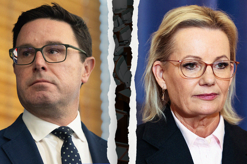 David Littleproud and Sussan Ley.