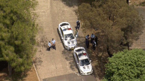 A man has been shot and killed by NSW Police in Seven Hills, in Sydney's north west.