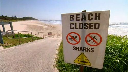 The Queensland government is facing increasing pressure to reinstall baited drumlines and allow shark culling after the latest attack.