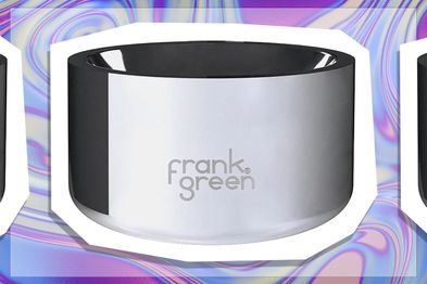 9PR: Frank Green Pet Bowl