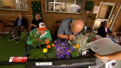 Aged care and disability residents get access to Vegepod gardens 