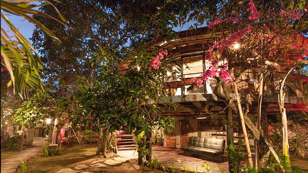 View of tree house in middle of garden (Airbnb)