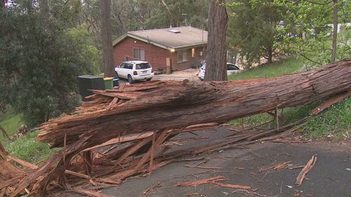 Severe weather has battered the state which has brought down trees and left hundreds without power.