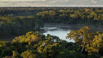 To find help in the dense Amazon rainforest, Juliane Koepcke found a river and headed downstream.