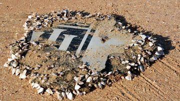 The foul-smelling piece of debris found on a South African beach. (Schalk Lückhoff)