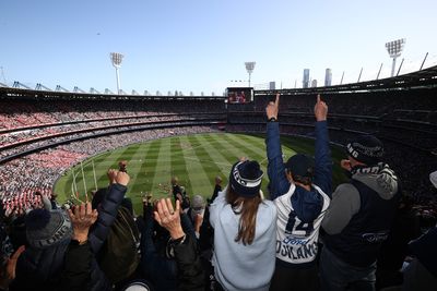 Cats fans celebrate an early goal from the top of the MCG