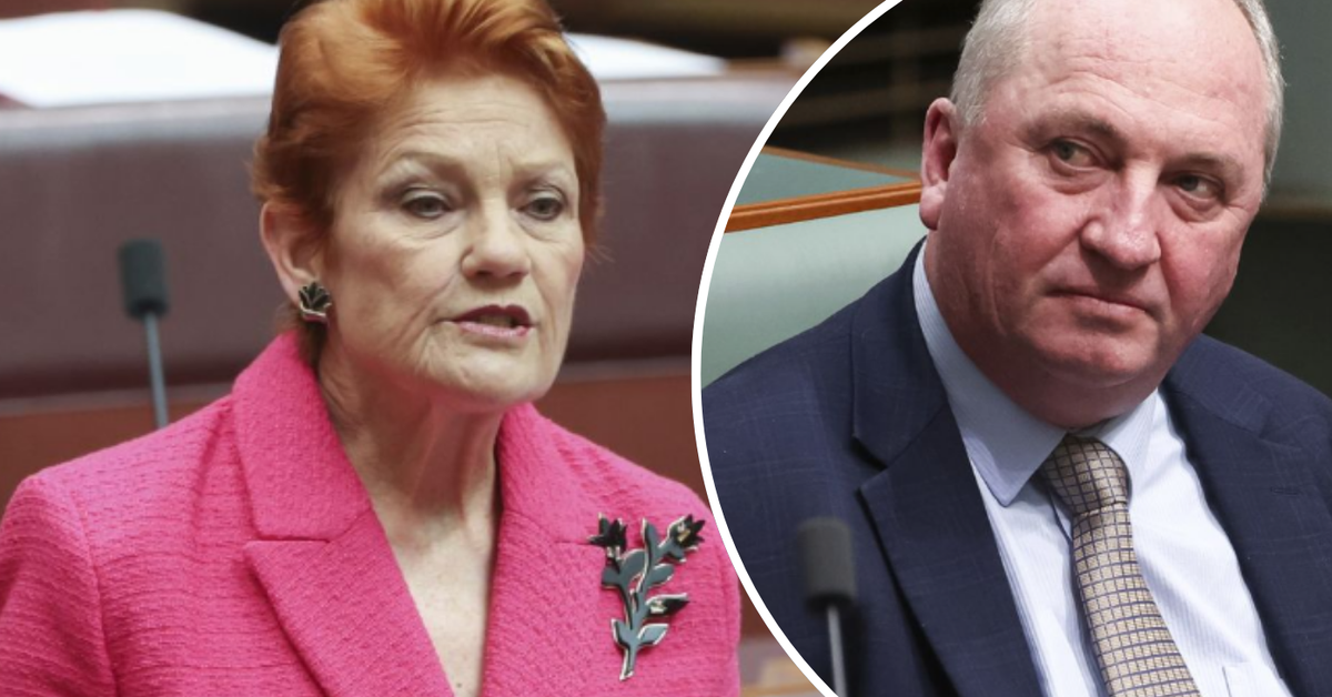 'I'll open the doors for you': Pauline Hanson invites Barnaby Joyce to join One Nation