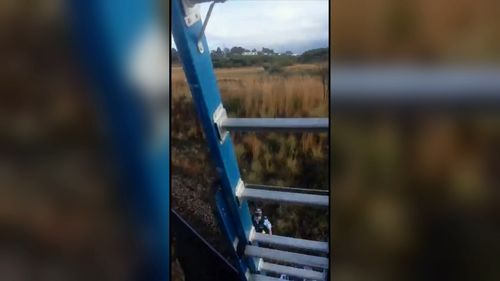 The 17-year-old had perched himself on an erected tripod in protest of the coal industry.