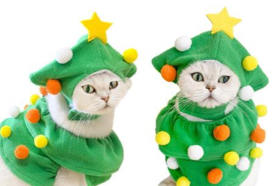Cat Christmas tree costumes