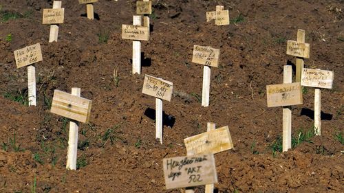 Fresh graves are seen at a cemetery in the Ukrainian city of Mariupol. 