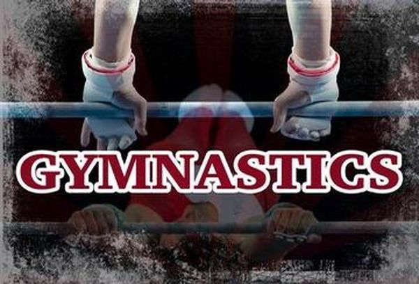 International Gymnastics 2018