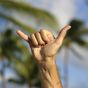 Hawaii passes bill to make shaka state's official gesture