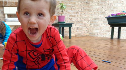 Missing boy William Tyrell was last seen in his grandmother's front yard wearing a Spiderman outfit. (Supplied, NSW Police)