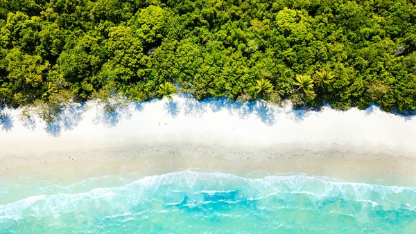 An aerial view of Cape Tribulation