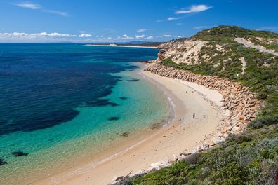 The best place in Australia to go with your dog is is the Mornington Peninsula just outside Melboune.