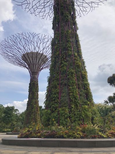 Gardens by the Bay Singapore 