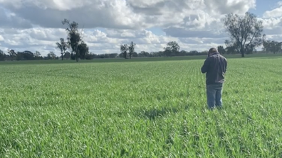 She said farming is "isolating" work.