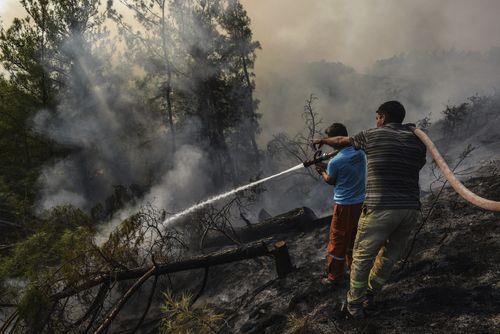 Villagers water trees to stop the wildfires that continue to rage the forests in Manavgat, Antalya, Turkey, early Sunday, Aug. 1, 2021.  (AP Photo)