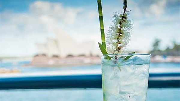 Trolley'd Australia Day lemon myrtle punch