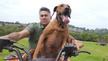 Jamie Durie tackles the housing crisis in first look at Future House