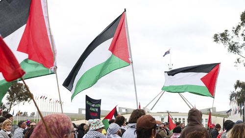 Pro-Palestine rally at the front of Parliament House in Canberra on Tuesday 22 July 2025. fedpol Photo: Alex Ellinghausen