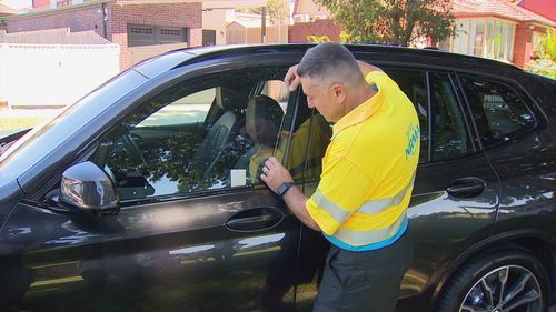 Motorists are urged to not accidentally lock kids or pets in cars this summer.