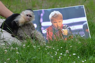 March 2013 till now: Bieber tried to smuggle his pet capuchin, Malley, into Germany without the right papers. German officials quarantined Mally and waited for him to collect the monkey. It didn't happen so they donated him to a wildlife park, and asked Justin to pay a bill of $1500 for the monkey's care during the waiting time. Justin hasn't paid up yet, and has since bought a new monkey.<br/><br/>Image: Getty