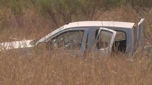 The ute was allegedly stolen by three teens.