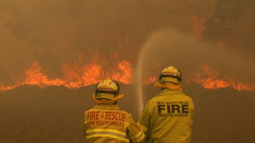 Firefighters work to contain a bushfire along Old Bar road in Old Bar, NSW.