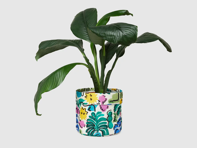 Gorman plant home planter — The Iconic