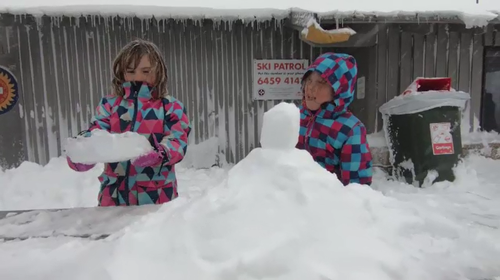 Further falls are forecast until Tuesday. (Thredbo)