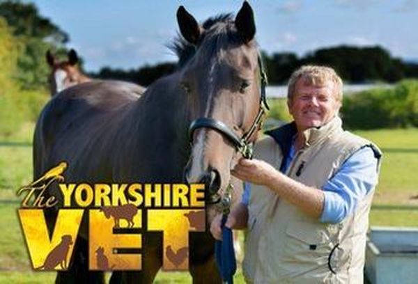 The Yorkshire Vet